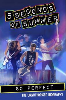 5 Seconds of Summer: So Perfect 2014 720p web YTS