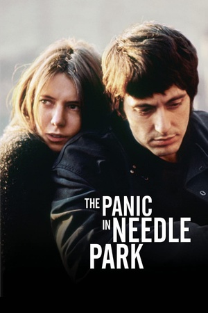 The Panic in Needle Park 1971 1080p bluray YTS