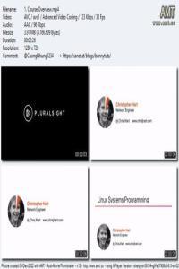 Linux Systems Programming DevCourseWeb