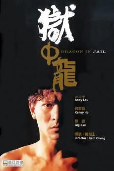 Dragon in Jail 1990 720p bluray YTS