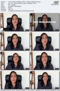 Brain Based Emotional Intelligence for Parents and Teachers CourseWikia