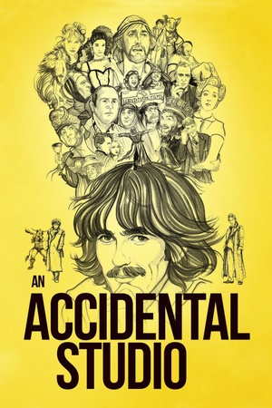 An Accidental Studio 2019 1080p web YTS