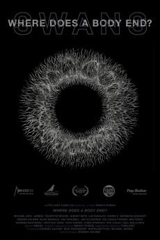 Where Does a Body End? 2019 720p bluray YTS