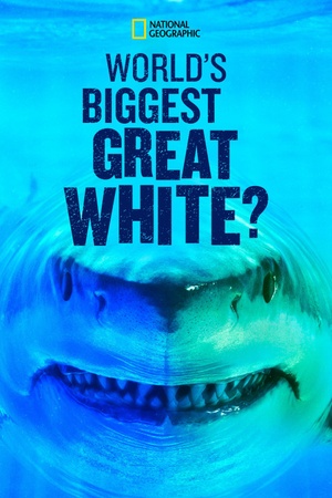 World's Biggest Great White Shark 2019 1080p web YTS