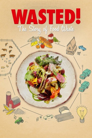 Wasted! The Story of Food Waste 2017 1080p web YTS