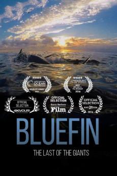 Bluefin 2016 720p web YTS