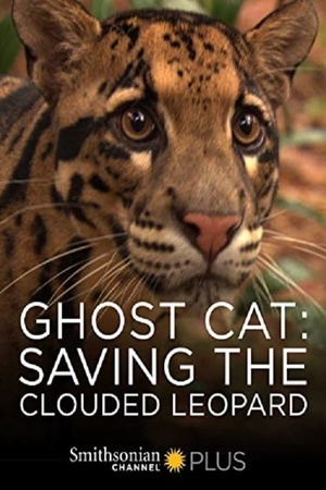 Ghost Cat: Saving the Clouded Leopard 2007 1080p web YTS