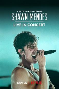 Shawn Mendes: Live in Concert 2020 720p web YTS