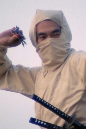 Re-Enter the New York Ninja 2021 1080p bluray YTS