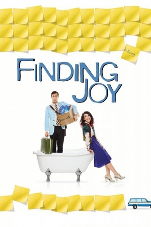 Finding Joy 2013 1080p web YTS