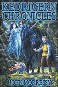 Kedrigern Chronicles vol 1 The Domesticated Wizard by John Morressy EPUB