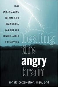 Healing the Angry Brain How Understanding the Way Your Brain Works Can Help You Control Anger and