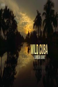 BBC Natural World 2020 Wild Cuba A Caribbean Journey 1080p x265 AAC MVGroup org mkv