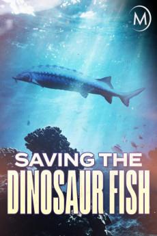 Saving the Dinosaur Fish 2020 720p web YTS