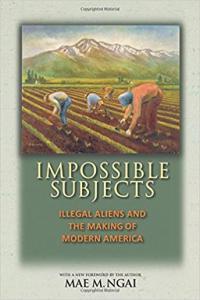 Impossible Subjects Illegal Aliens and the Making of Modern America by Mae M Ngai EPUB
