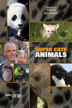 Super Cute Animals 2015 1080p web YTS