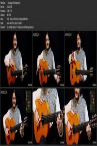 Introduction To Flamenco Guitar Techniques FreeCourseWeb