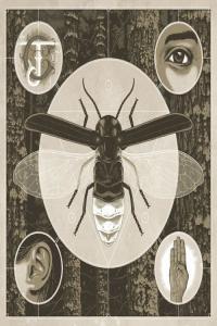 Jerry Cantrell Brighten 2021 Mp3 320kbps PMEDIA