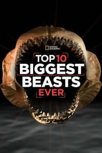Top 10 Biggest Beasts Ever 2015 1080p WEBRip x265 RARBG TGx