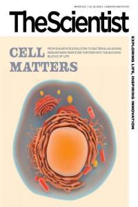 The Scientist Vol 36 Issue 04 Winter 2022 CourseWikia