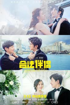 Special Couple 2019 720p web YTS