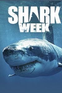 Shark Week 2020 Great White Serial Killer Extinction WEBRip x264 CAFFEiNE TGx