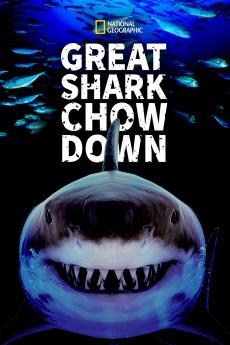 Great Shark Chow Down 2019 720p web YTS