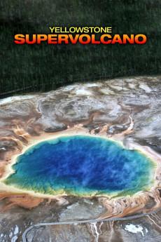 Yellowstone Supervolcano 2015 720p web YTS
