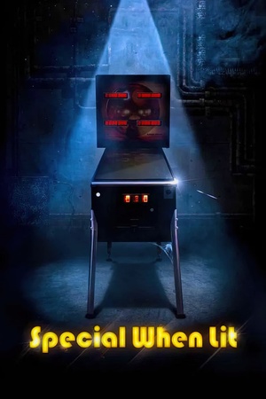 Special When Lit 2009 1080p web YTS
