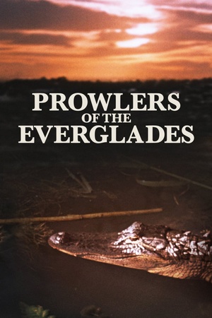 Prowlers of the Everglades 1953 1080p web YTS