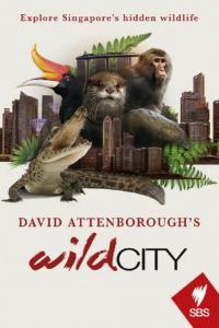 David Attenboroughs Wild City S01 COMPLETE 720p NOW WEBRip x264 GalaxyTV