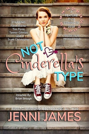 Not Cinderella's Type 2018 1080p bluray YTS