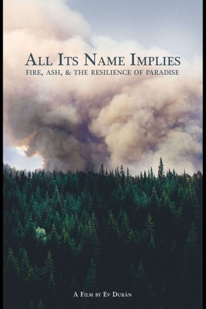 All Its Name Implies 2020 1080p web YTS
