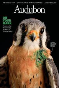 Audubon Magazine Spring 2023 CourseWikia