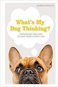 What s My Dog Thinking Understand Your Dog to Give Them a Happy Life by Hannah Molloy PDF