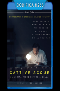 Dark Waters Cattive Acque 2019 iTA ENG AC3 SUB iTA ENG BluRay HEVC 1080p x265 jeddak MIRCrew