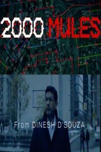 2000 Mules Documentary 2022 Las Vegas Live Intro Full Q A x264 720