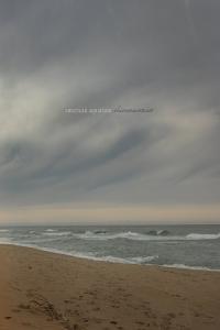 americana country 2022 American Aquarium Chicamacomico FLAC DarkAngie