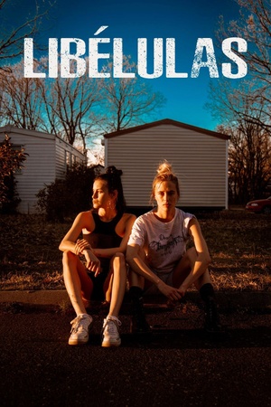 Libélulas 2022 1080p web YTS