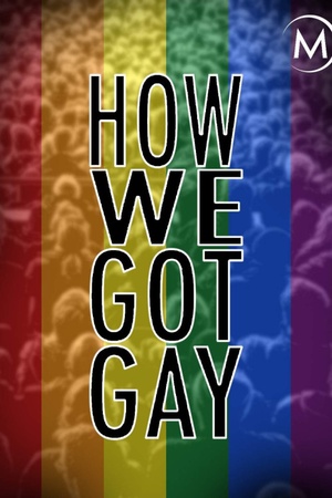 How We Got Gay 2013 1080p web YTS