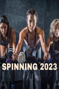 V A Spinning 2023 2022 Dance Flac 16 44