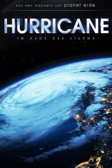 Hurricane 2015 720p bluray YTS