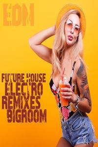 Various Artists Future House Electro Remixes EDM Bigroom 2023 Mp3 320kbps PMEDIA
