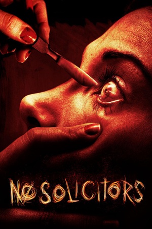No Solicitors 2015 1080p web YTS