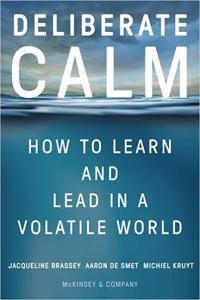 Deliberate Calm How to Learn and Lead in a Volatile World by Jacqueline Brassey EPUB