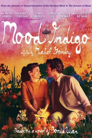 Mood Indigo 2013 1080p bluray YTS