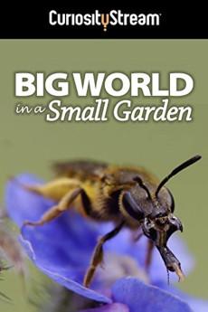 Big World in a Small Garden 2016 720p web YTS
