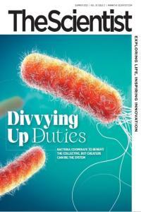 The Scientist Summer 2023 CourseWikia