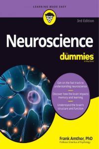 Neuroscience For Dummies 3rd Edition DevCourseWeb