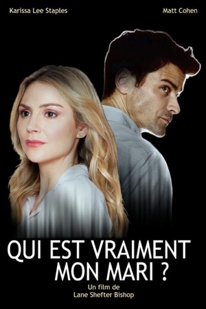 His Secret Marriage 2019 1080p web YTS